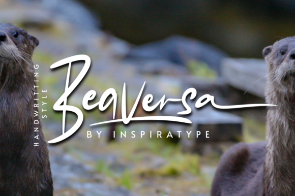 Beaversa: A Handwritten Font for Editorial Charm