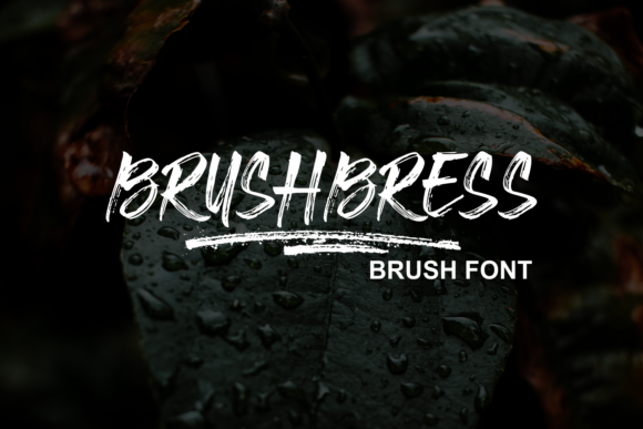 Brushbress: A Handwritten Font for Engaging Campaigns