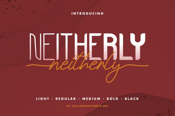 Discovering Neitherly: A Versatile Font for Branding