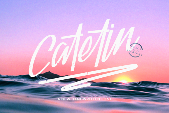 Enhance Your Web Design with Catetin Font